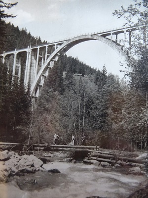 DSC03294