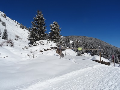 DSC03403