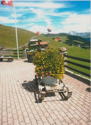 letni arosa 001
