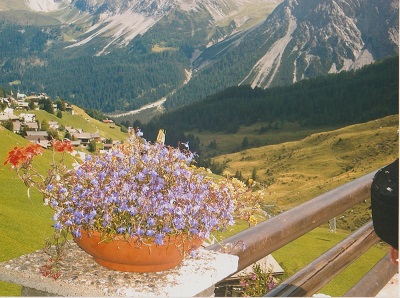 letni arosa 002