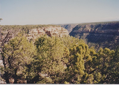 mesa verde 008