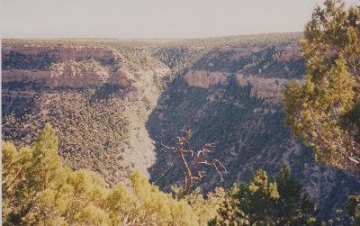 mesa verde 010