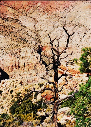 mesa verde 2 012