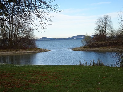 DSC00263