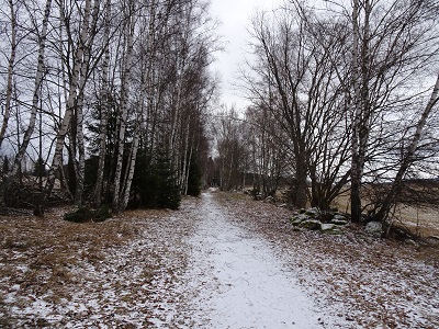 DSC00586