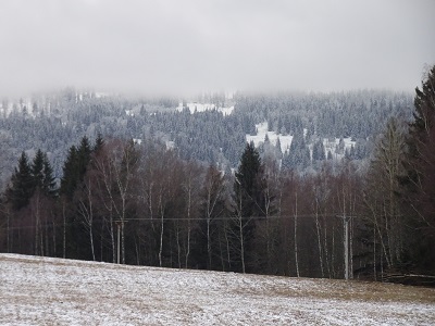 DSC00588