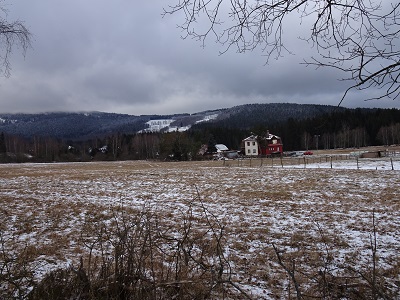 DSC00590