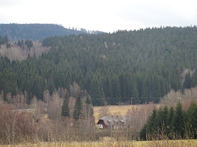 DSC00611