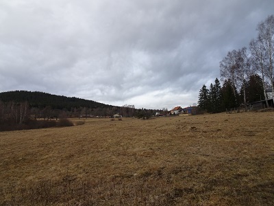 DSC00625