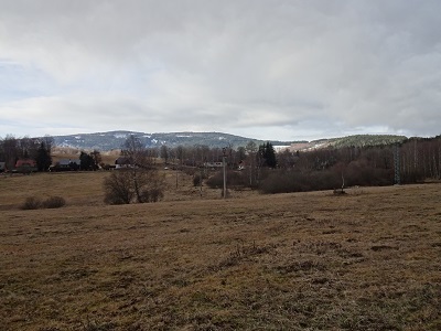 DSC00629
