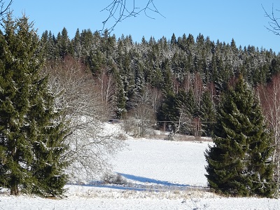 DSC00728