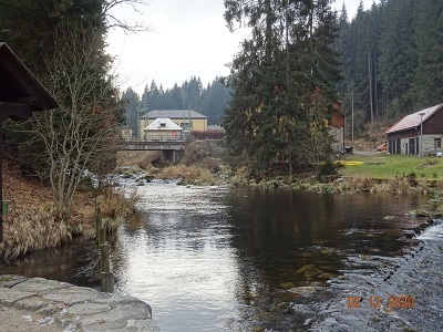 DSC00906