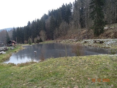 DSC00920