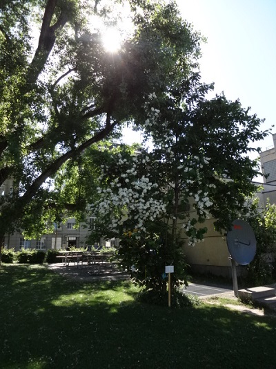 DSC01150