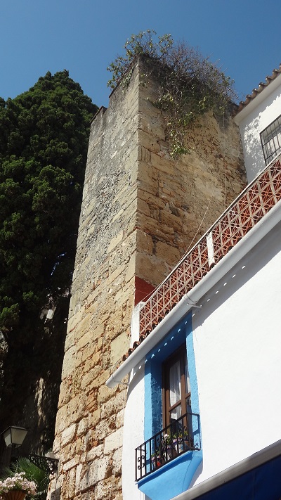 DSC02890