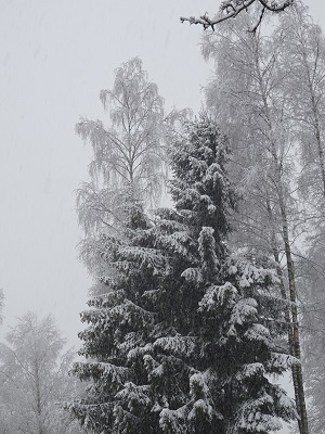 DSC04260