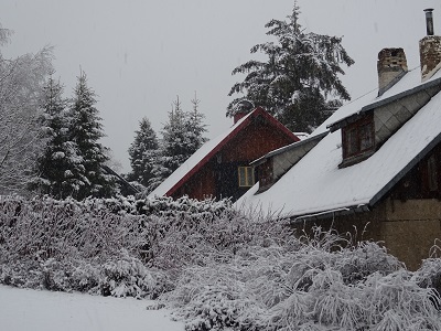 DSC04265