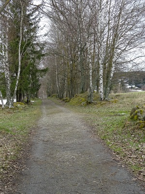 DSC04325