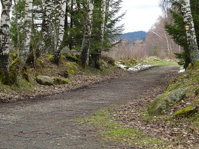 DSC04341