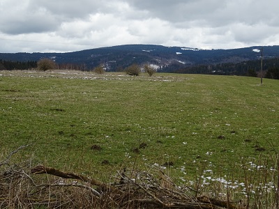 DSC04352