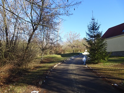 DSC04772
