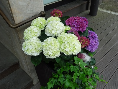 DSC07180