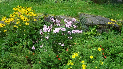 DSC08702