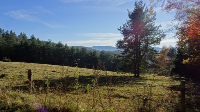 DSC08939
