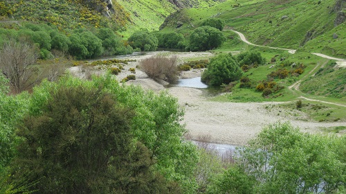 IMG 0004