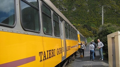 IMG 0007