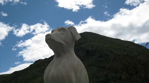 IMG 0010