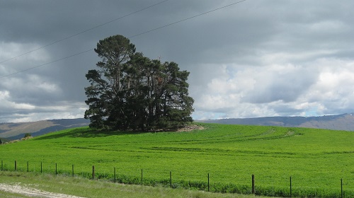 IMG 0066