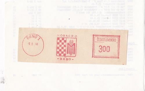 IMG 20231104 0003
