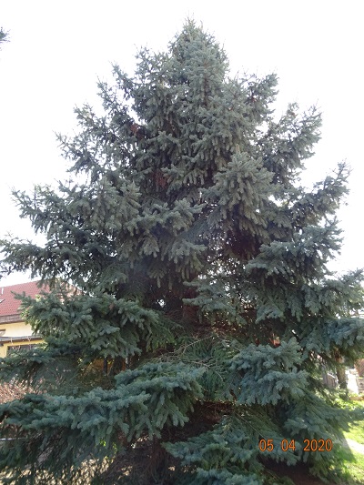 DSC00069