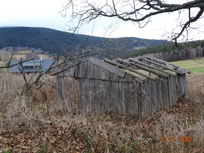 DSC00433