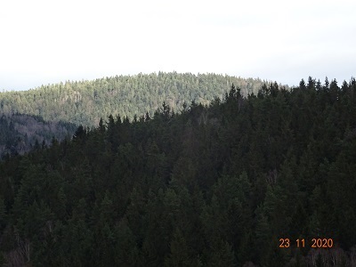DSC00456
