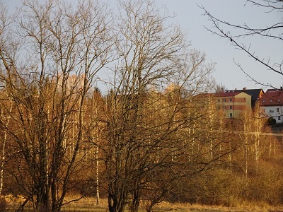 DSC04261
