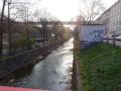 DSC05704