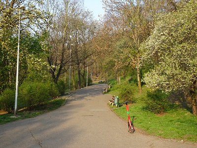 DSC05712