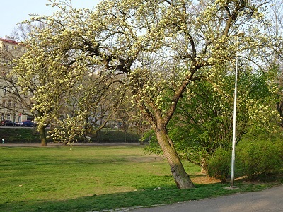 DSC05713