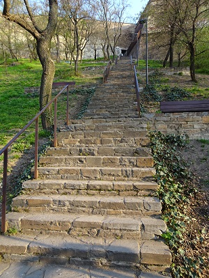 DSC05717