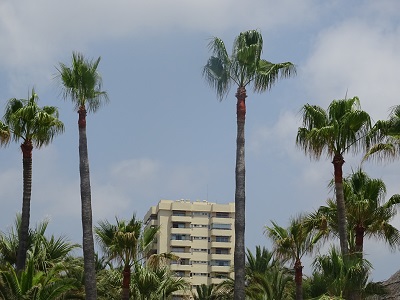 DSC08869