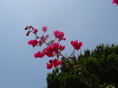 DSC08908