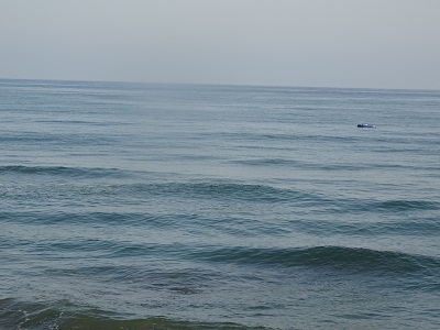 DSC08994