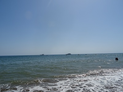 DSC09202