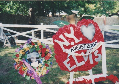 Elvis 3 002