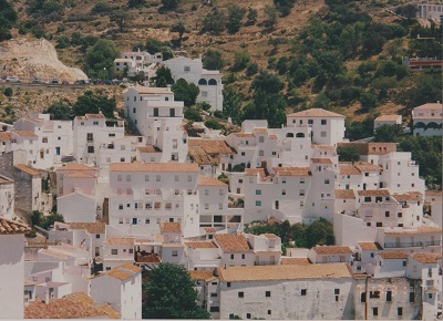 lus 002