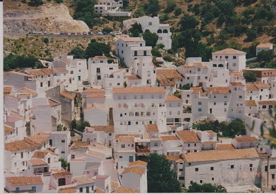 lus 003