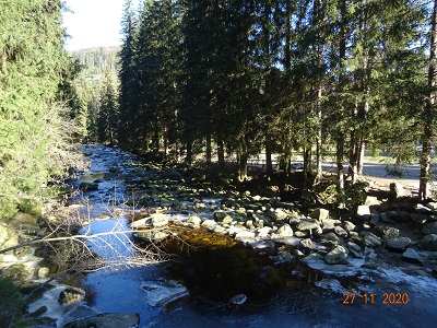 DSC00779