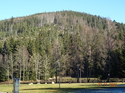 DSC00785